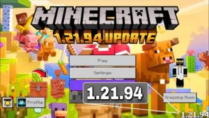 Minecraft 1.21.94 1