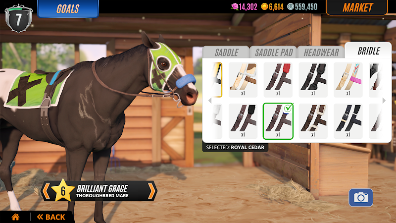 Rival Stars Horse Racing 7