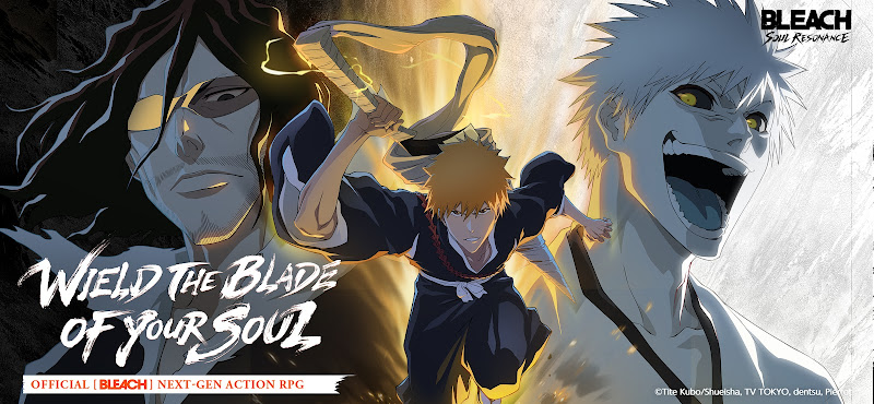 BLEACH: Soul Resonance 6